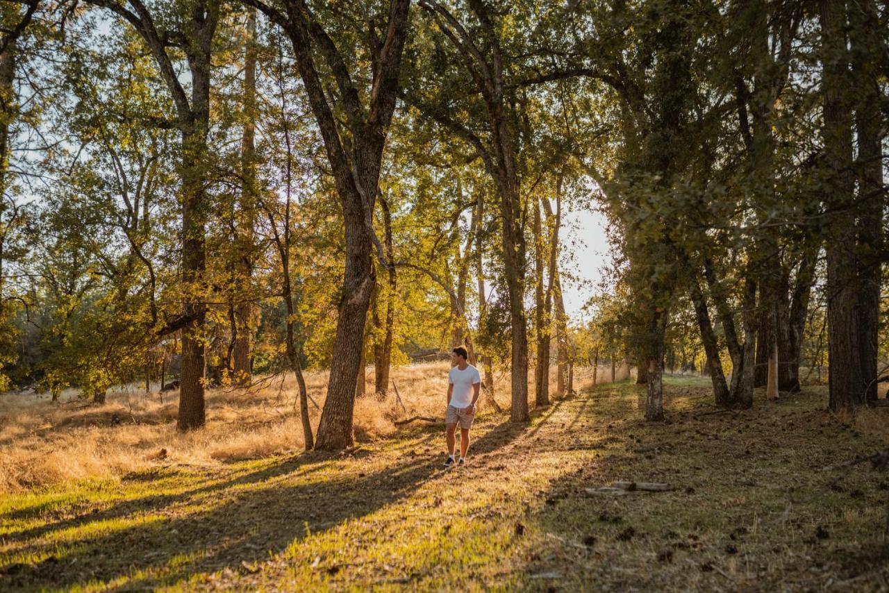 Lovers Nest By Casa Oso With Private Hiking Trails And Pond Mariposa Exteriér fotografie